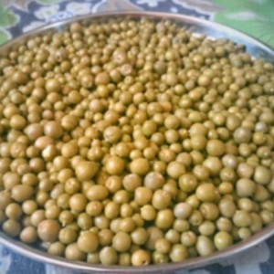 PKB Rajasthani Ker (Desert Berry)